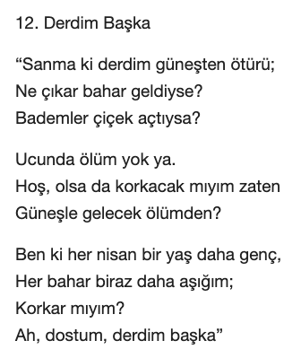 Orhan Veli Derdim Başka Şiiri