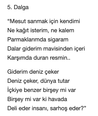 Orhan Veli Dalga Şiiri