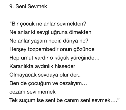Orhan Veli Seni Sevmek Şiiri